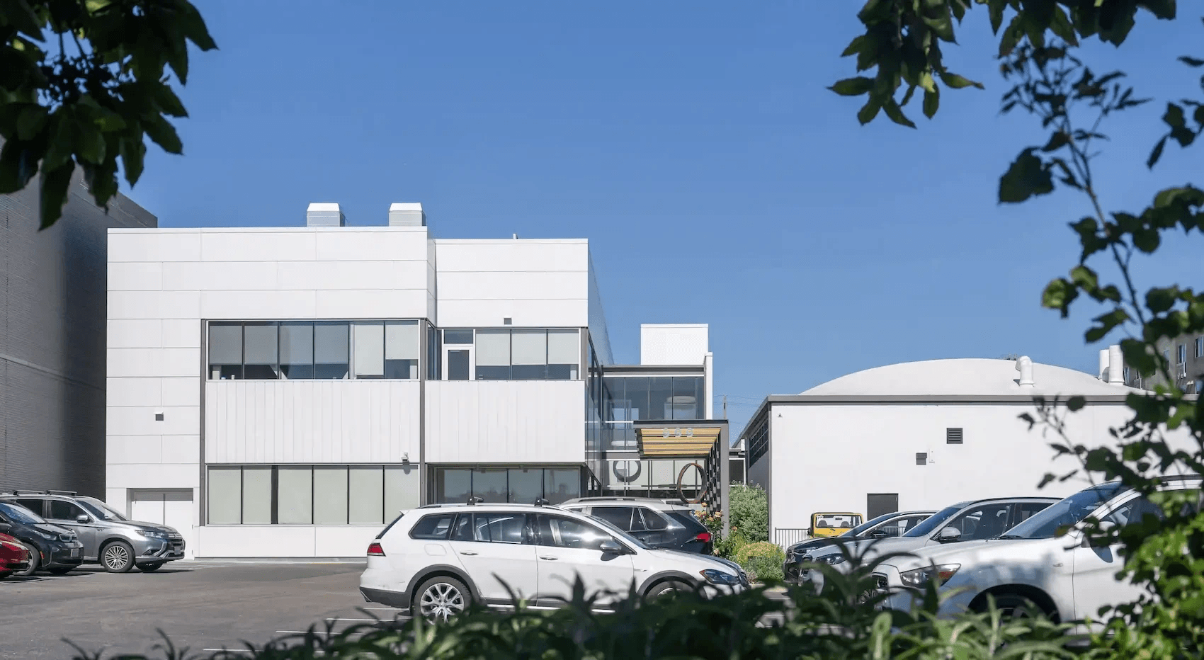 Join Prellis Biologics on Our Mission to Revolutionize Antibody Discovery